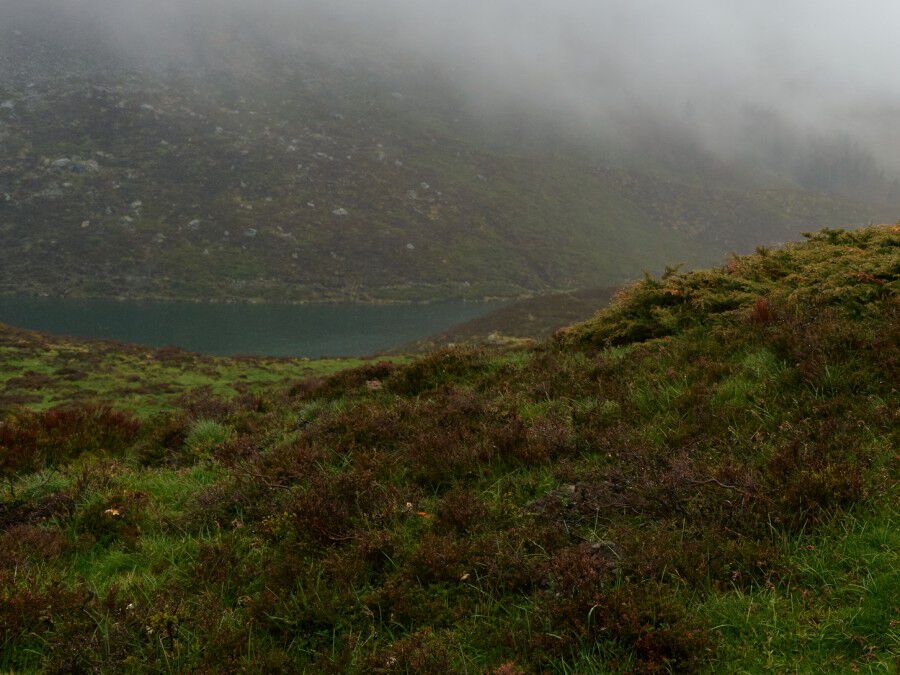 Equipment Miscellaneous