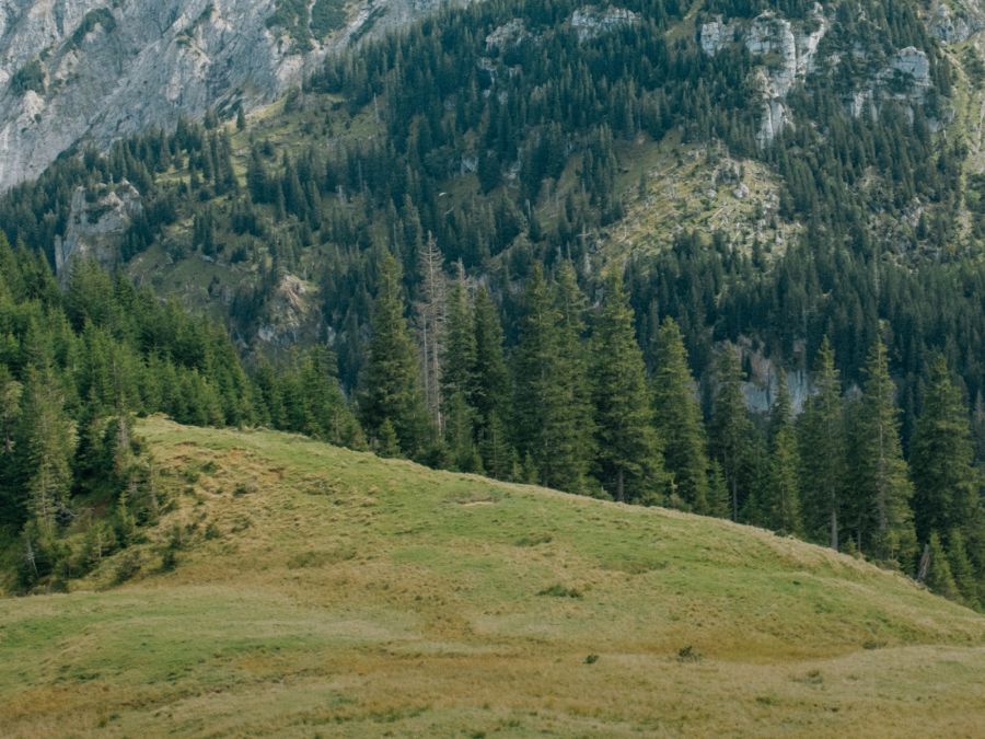 Kids Reflective products