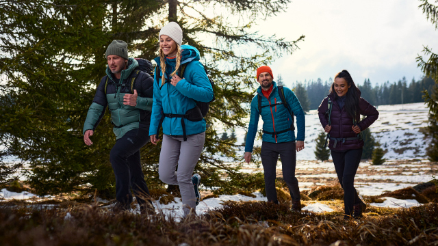 Four hikers walking through a wood